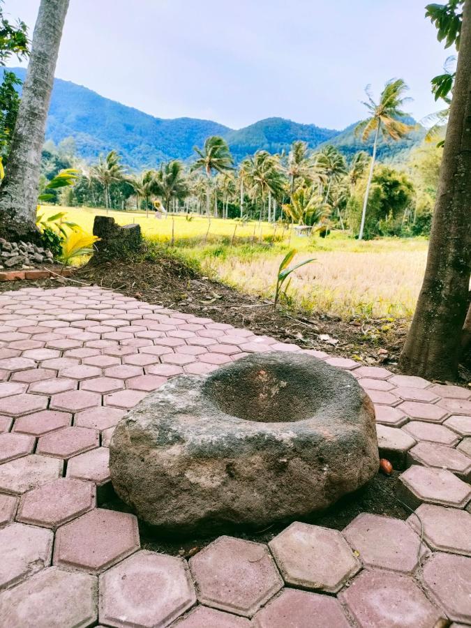 Rumah Gadang Tokama, Simarasok Baso Εξωτερικό φωτογραφία