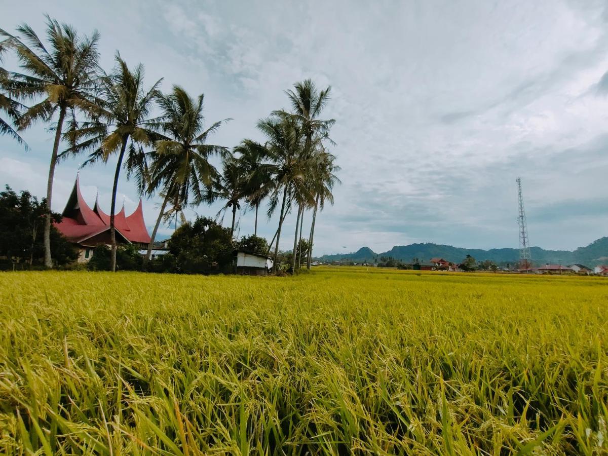 Rumah Gadang Tokama, Simarasok Baso Εξωτερικό φωτογραφία